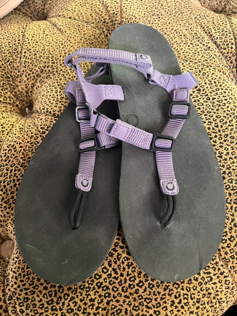 Xero Shoes H- Trail Barefoot Sandals purple Women’s 10 NWOT